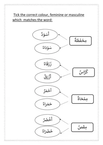 Feminine and masculine colours