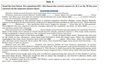 ЗНО (synonyms 4-6)