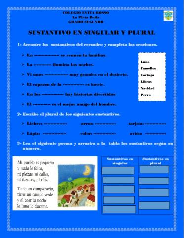 Sustantivos en plural y singular