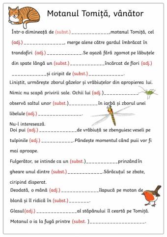 Adjectiv-Substantiv