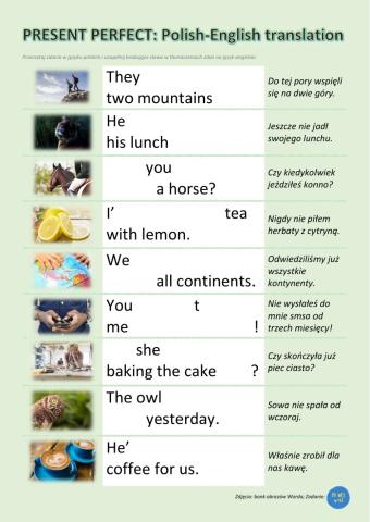 Present perfect: Polish - English translation
