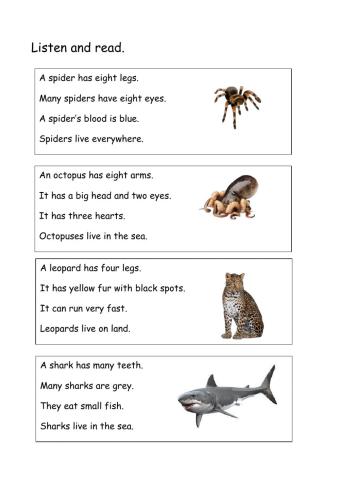 Land and sea animals