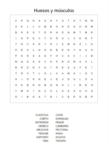 Huesos y Músculos