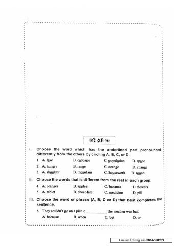 English 6 - Đề số 22