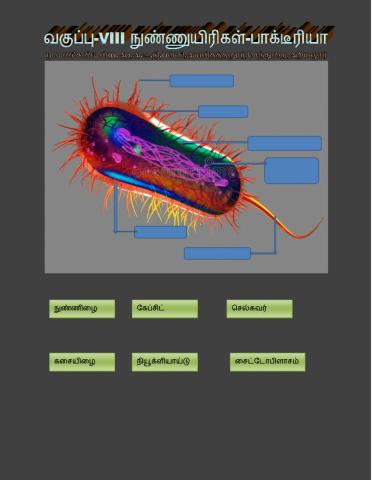 நுண்ணுயிரியல்