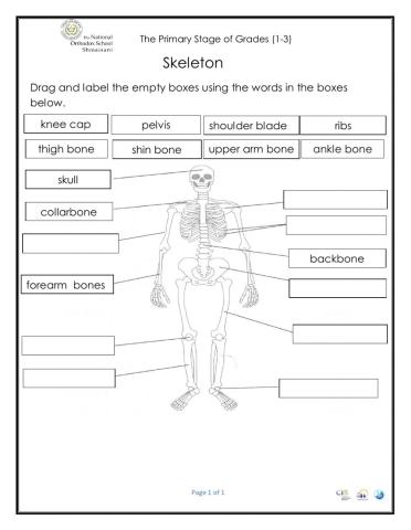 Skeleton Pop quiz