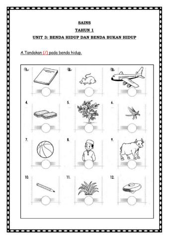 Benda Hidup dan Benda Bukan Hidup