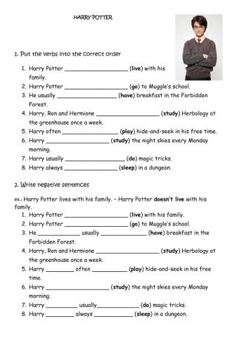Harry Potter (Present Simple)