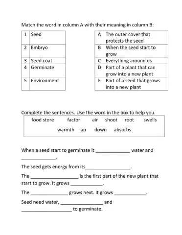 Science review grade 4