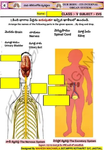 5th-EVS-WS-6-1-BY MAHESH MACHARLA