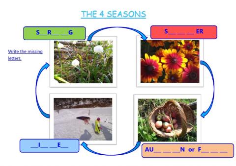 The 4 seasons