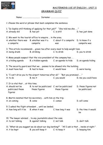 Mastermind Unit 11 GrammarTest