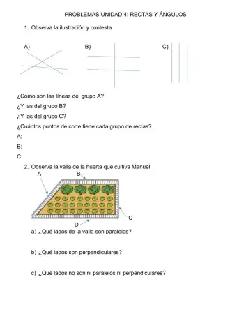 Problemas rectas y ángulos 3º primaria