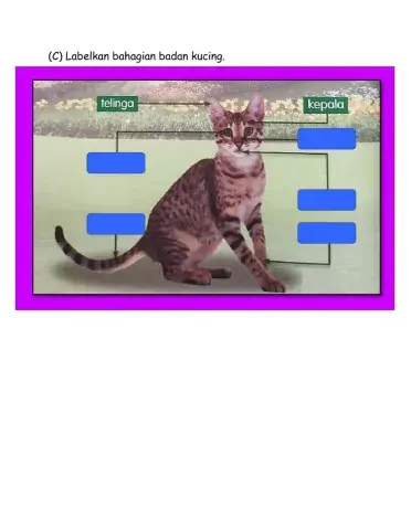 Uji Minda 2 (Penternakan)