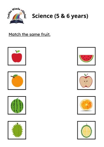 Science 5 & 6 Years: Fruits 1