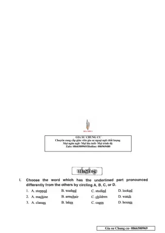 English 6 - Đề số 29