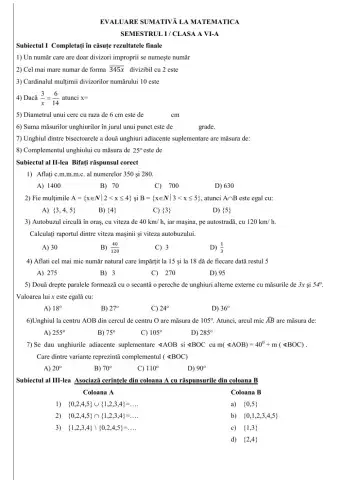 Test sumativ clasa aVI-a