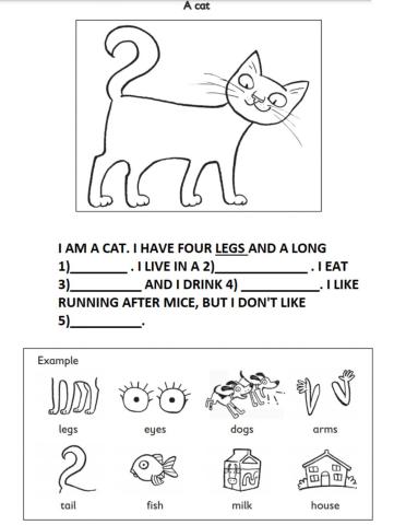 Kids  4 - starters activity