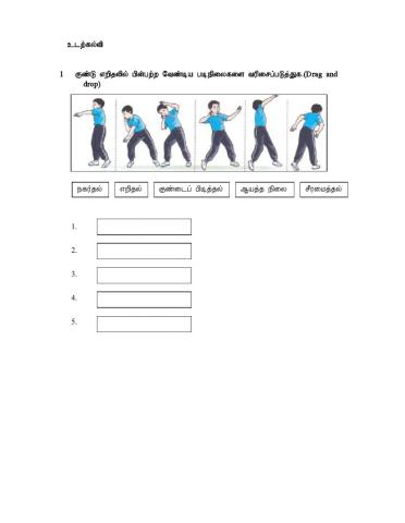 உடற்கல்வி