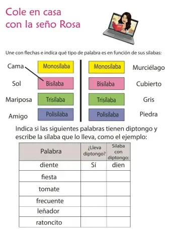 Tipos de sílabas y el diptongo