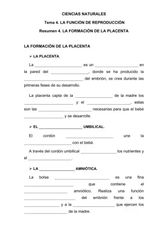 La formación de la placenta