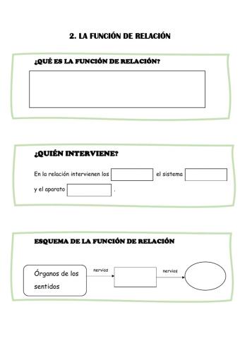 La función de relación