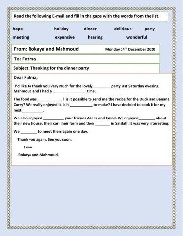 Thanking E-mail for dinner party