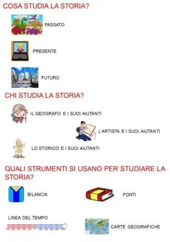 Cosa studia la storia