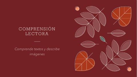 Comprensión Lectora