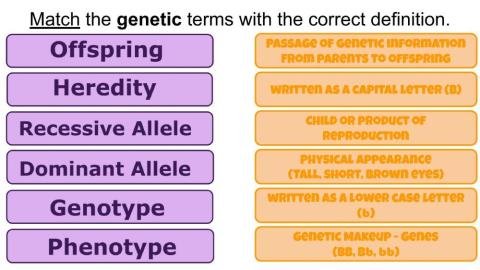 Genetics-Heredity