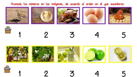El orden de las actividades