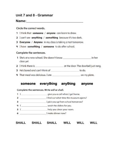 Indefinite Pronouns-Shall and Will