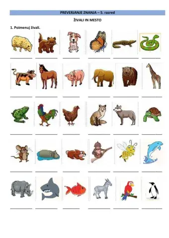 preverjanje 5