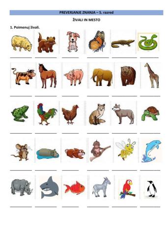 preverjanje 5