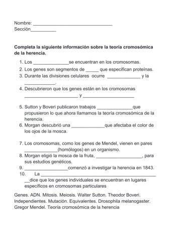 Teoría cromosómica de  la Herencia
