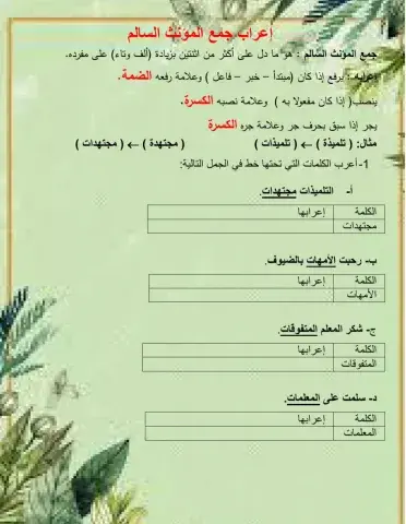 جمع المؤنث السالم