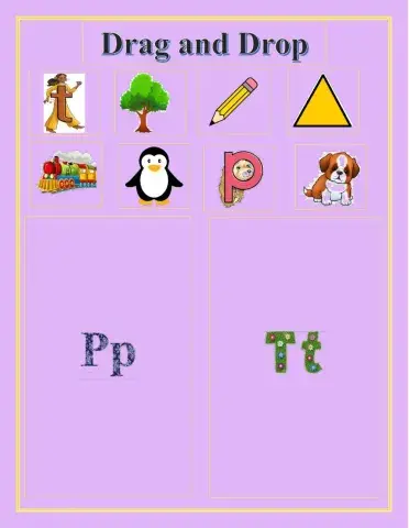 Drag and Drop the picture in the correct box