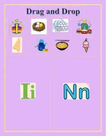 Drag and Drop the picture in the correct box