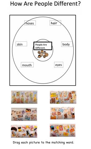 How Are People Different Circle Map