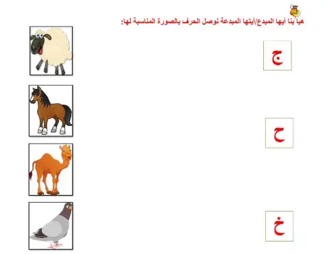 أوراق متنوعة ج-ح-خ
