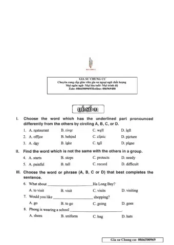 English 6 - Đề số 31