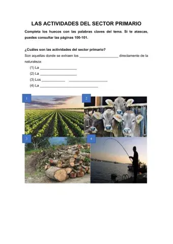 Actividades sector primario