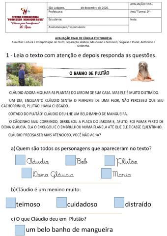 Exame Final de Língua Portuguesa