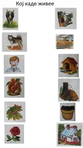 Кој каде живее