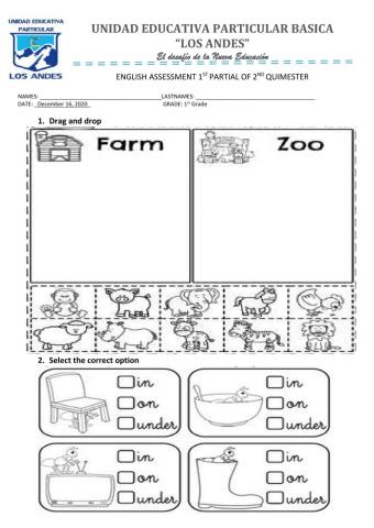 English assessment for 1st EGB