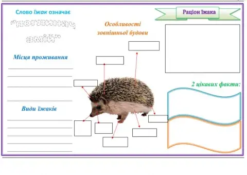 Мінілупбук