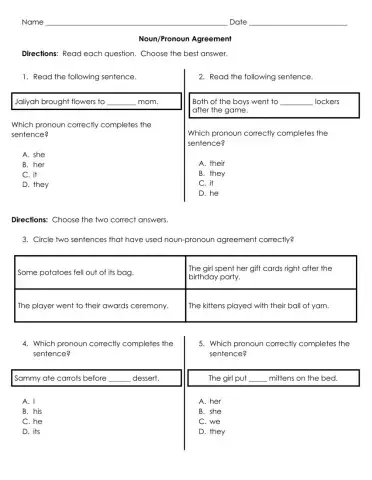 Noun-Pronoun Agreement Practice