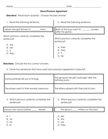 Noun-Pronoun Agreement Practice