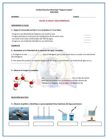 Taller: El agua y Sales Minerales