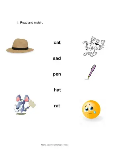 Phonics  group 2 REVIEW